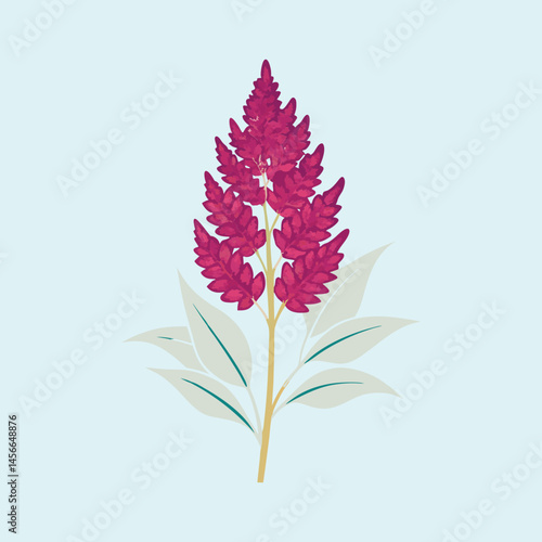A Single Elegant Amaranth Plant with Deep Pink Flowers and Delicate GrayGreen Leaves Against a Pale Blue Background