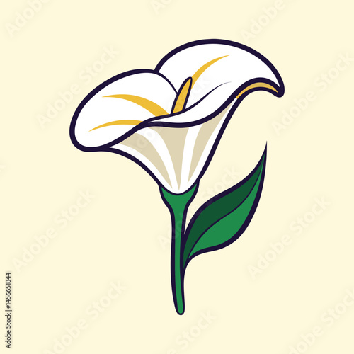 Elegant White Calla Lily Flower Illustration Botanical Art Design