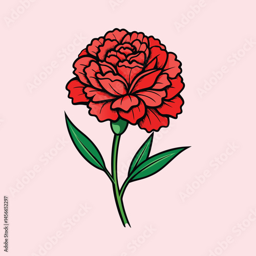 A Single Red Carnation Flower with Green Leaves on a Pink Background Botanical Illustration