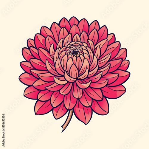 Stunning Pink Dahlia Flower Blossom Detailed Illustration Botanical Art