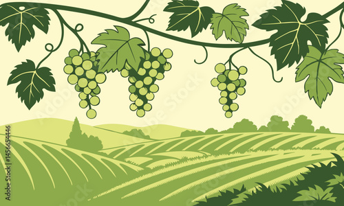 Abundant Vineyard Scene: Grapes and Verdant Landscapes Illustration