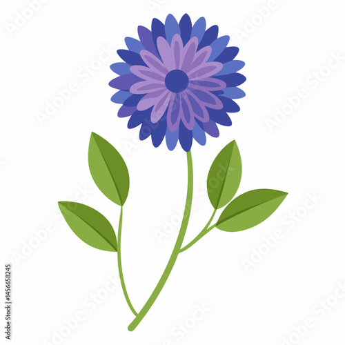 Bachelor’s Button Vector on White Background