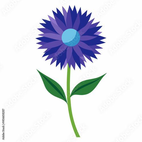 Bachelor’s Button Vector on White Background
