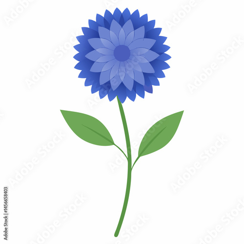 Bachelor’s Button Vector on White Background
