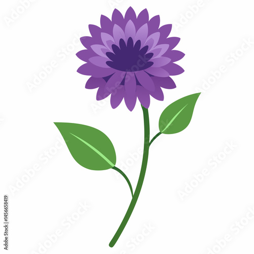 Bachelor’s Button Vector on White Background