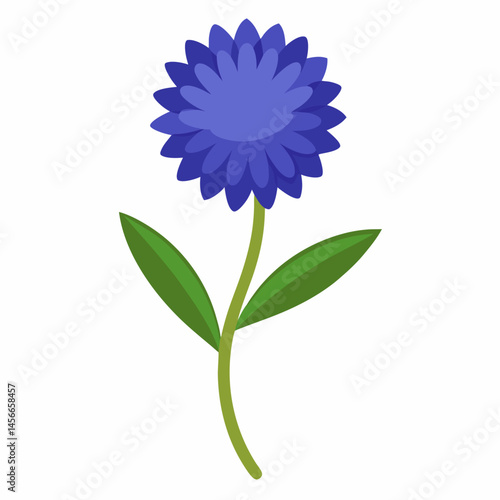 Bachelor’s Button Vector on White Background