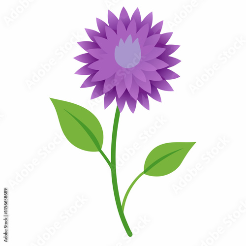 Bachelor’s Button Vector on White Background