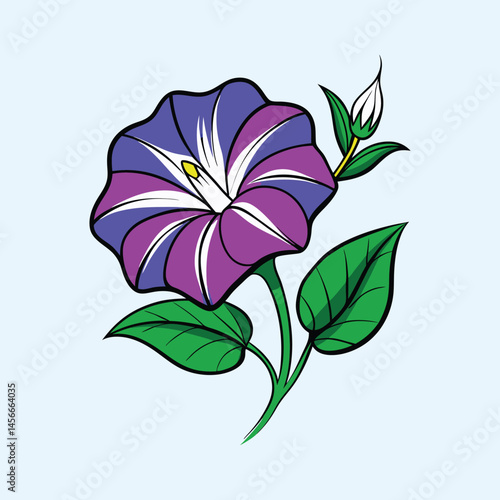 Purple morning glory flower illustration, blooming ipomoea vine with green leaves, hand drawn botanical floral vector art on light blue background