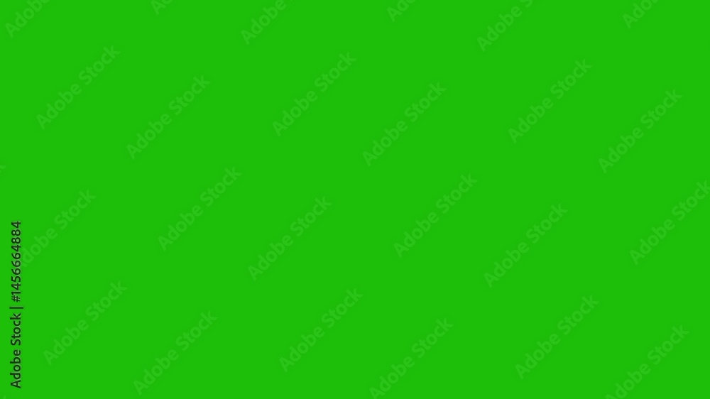 Sparkle Twinkling Star Animation Video Blinking Light Effect on 4K Loop Animation Video with Motion Graphics Sparkle Twinkling Star Animation Video Blinking Light Effect on 4K Loop Animation Video with Motion Graphics