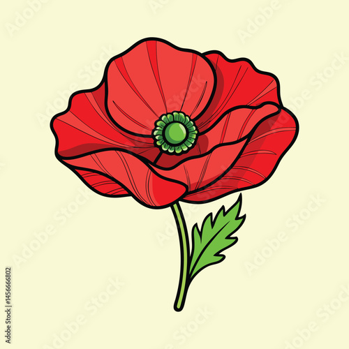 Red poppy flower illustration, blooming papaver rhoeas with green stem and leaf, botanical floral vector for remembrance and garden design