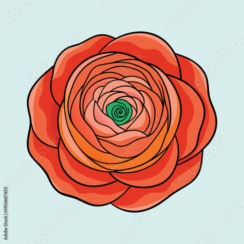 A vibrant illustration of a single Persian buttercup flower with many layers of petals in shades of orange and coral