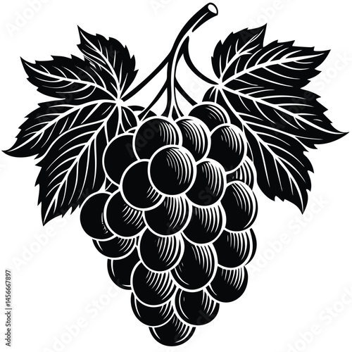 Black and White Grape Bunch Silhouette with Detailed Leaves in Vintage Style
