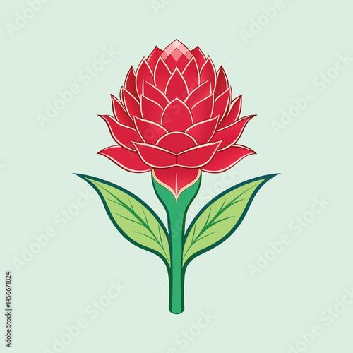 Vibrant Red Ginger Flower Botanical Illustration Artistic Design