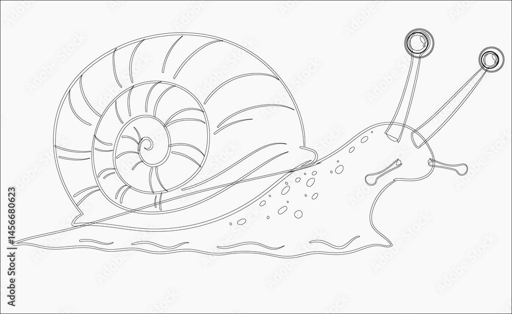 Fototapeta premium coloring page for baby