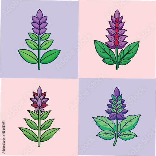 Collection of Four Different Purple Flower Illustrations with Green Leaves Botanical Designs