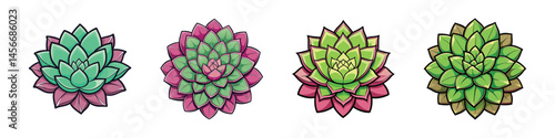 Four stylized colorful succulent plant rosettes isolated on a white background