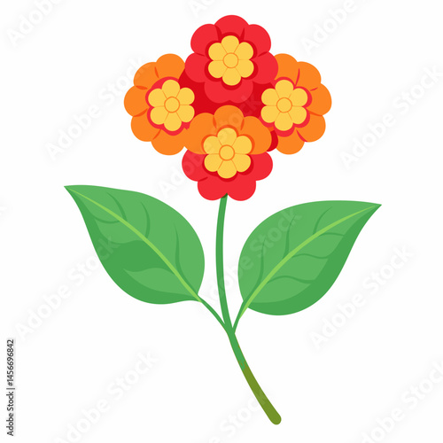 Lantana Vector Illustration on White Backgroun