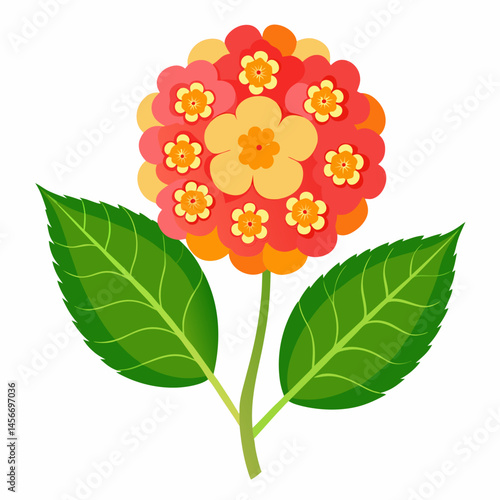 Lantana Vector Illustration on White Backgroun