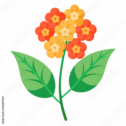 Lantana Vector Illustration on White Backgroun