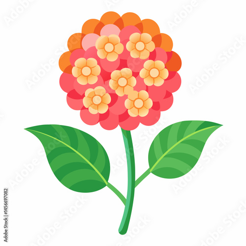 Lantana Vector Illustration on White Backgroun