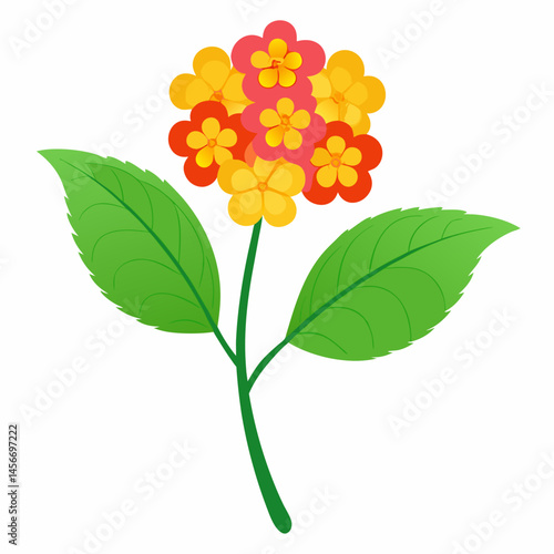 Lantana Vector Illustration on White Backgroun