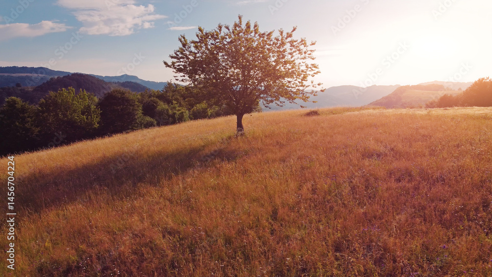 Tranquil sunny summer landscape with green fields and hills.