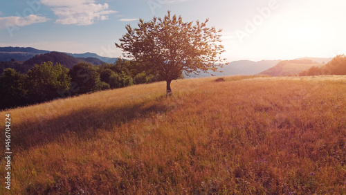 Obraz na płótnie Tranquil sunny summer landscape with green fields and hills. w salonie