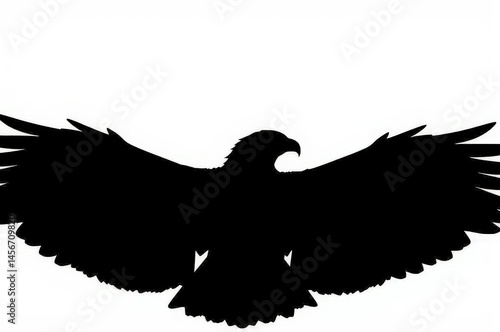 Obraz na płótnie Soaring Eagle Silhouette w salonie