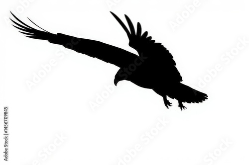 Obraz na płótnie Soaring Eagle Silhouette in Flight w salonie