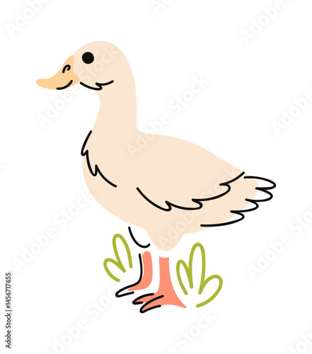Duck farm bird poultry doodle