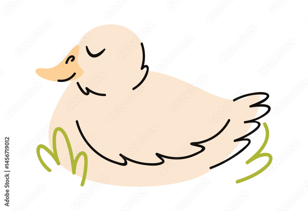 White duck sleeping hand drawn White duck sleeping hand drawn