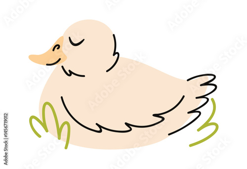 White duck sleeping hand drawn