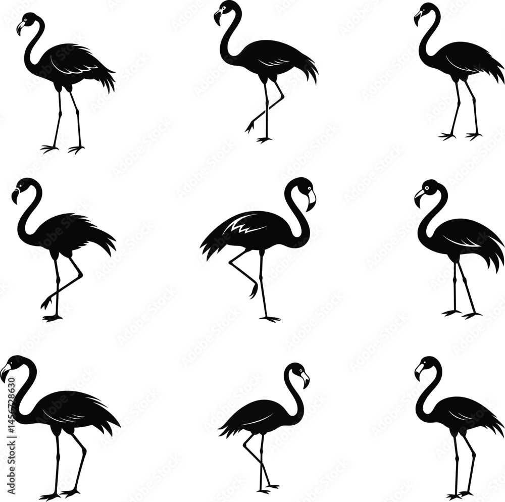 Obraz premium set of flamingo silhouette vector icon set, set of flamingo silhouettes, flamingos symbol icon set, flamingo silhouette vector illustration set on white background.
