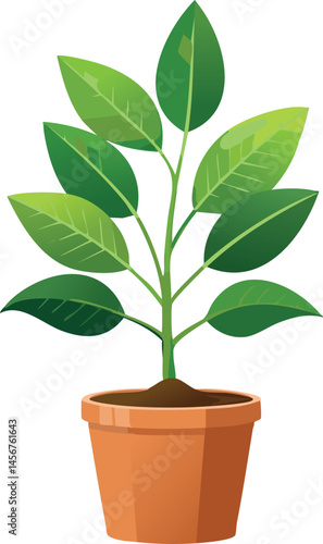 Potted Indoor Plant Vector Isolated on White - Modern Monstera Houseplant - Minimalist Home Jungle Illustration - Clean Line Art Foliage - Urban Botanist Graphic