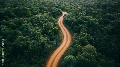 Aerial View of Winding Dirt Road Through Lush Green Forest with Natural Light Travel and Adventure in a Serene Landscape and Scenic Outdoors