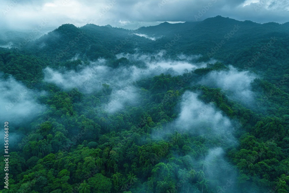 Obraz premium Lush greenery and mystical mist enveloping the mountainous rainforest at dawn
