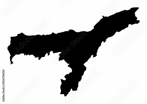 Obraz na płótnie Assam State silhouette map w salonie