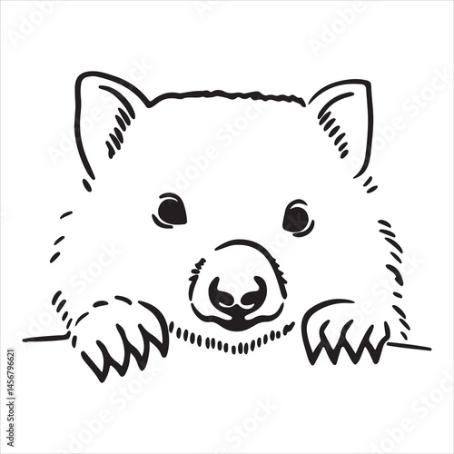 Wild Wombat Close-Up in Bushland Environment