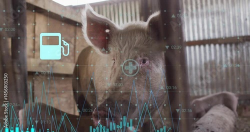 3D render pig head being visualized inside barn, overlaying line graphs, grid dots and timestamps