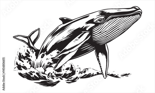 Jumping in the ocean humpback whale. Beautiful vector sketch illustration