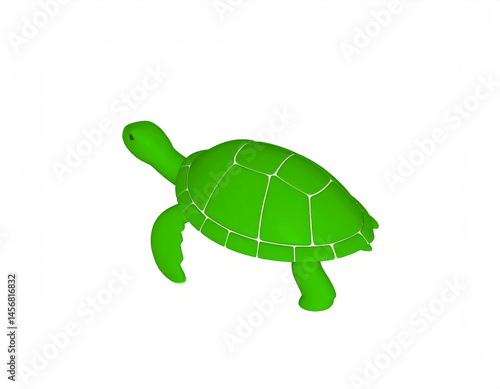 turtle on a white background