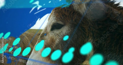 Donkey head merging field with holographic interface for tech demo, displaying floating cyan dots