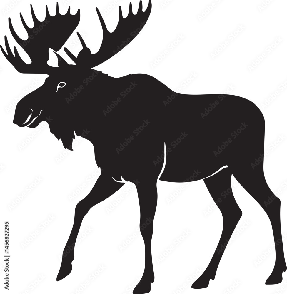 Fototapeta premium silhouette of a moose