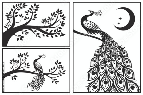 Stylized Peacock Bird Vector Illustrations, Minimalist Black and White Nature Theme, Perfect for Graphic Design and Creative Projects. photo