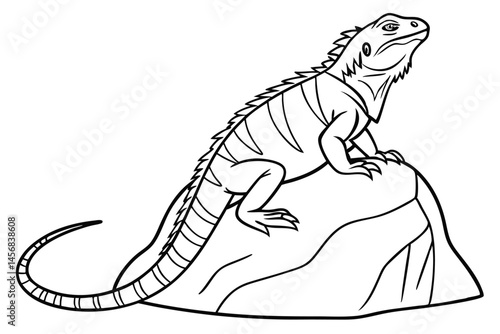 Line Art Illustration: Iguana perched on a rock, featuring intricate details and black outlines for coloring books and educational resources.