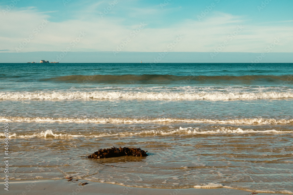 waves on the beach