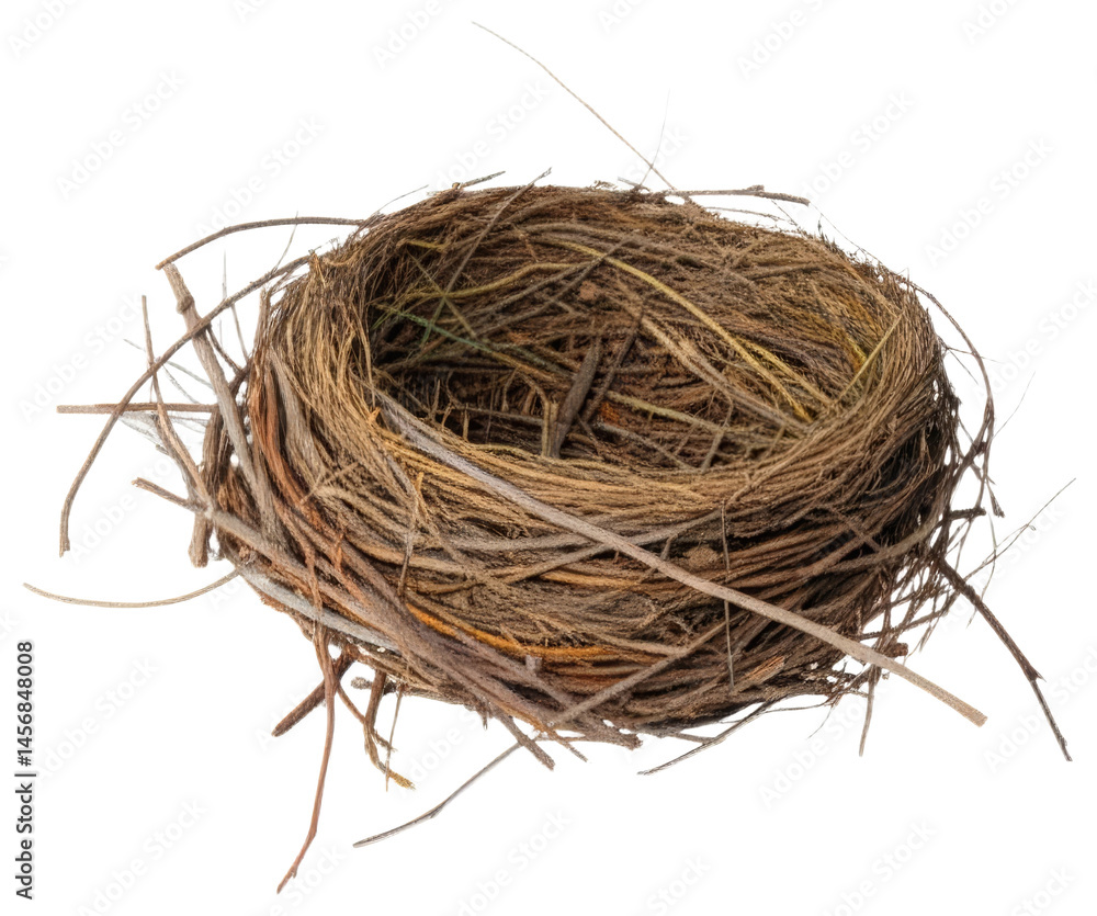 Empty bird nest isolated on white background, transparent background png Empty bird nest isolated on white background, transparent background png