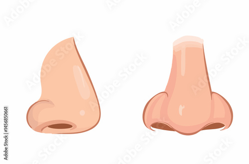 Human Nose Anatomy Illustration Side and Front Views. Vector Image