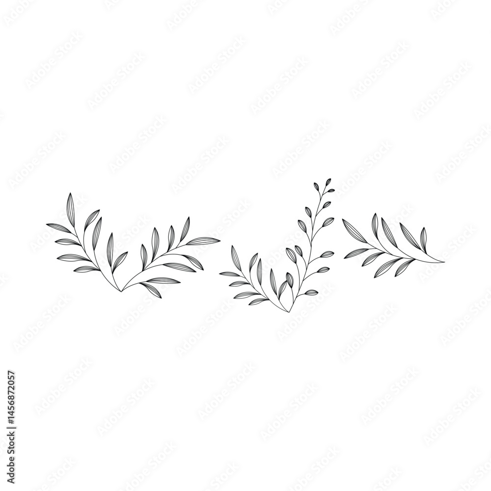 Fototapeta premium botanical leaf vector design template