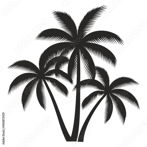 Silhouettes of Tropical Palm Trees Against a White Background